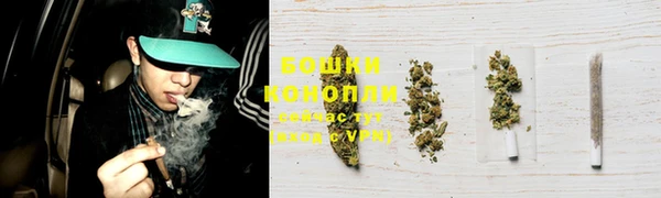 соль ск Протвино