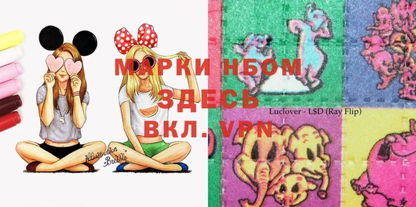 прущие грибы Малоархангельск
