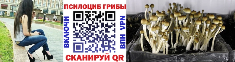 мега как войти  Спас-Деменск  Галлюциногенные грибы мухоморы  как найти наркотики 